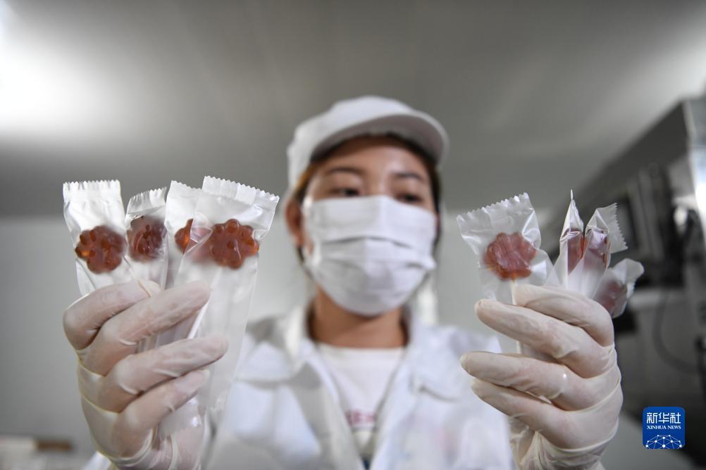 可约棋牌官网